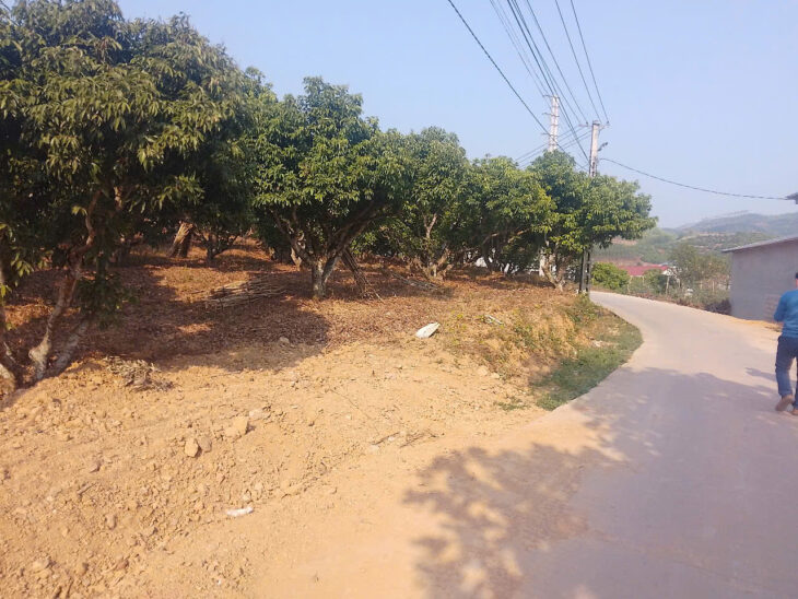 CẦN BÁN 5 LÔ ĐẤT BIỆT THỰ_KIÊN THÀNH THỊ XÃ CHŨ GIÁ RẺ