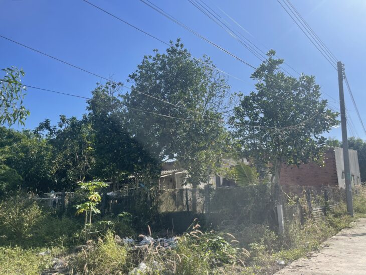 Đất LaGi 113m2 ONT Lô 2 Trưng Trắc – Tân An – TX LaGi chỉ 800 triệu sổ riêng