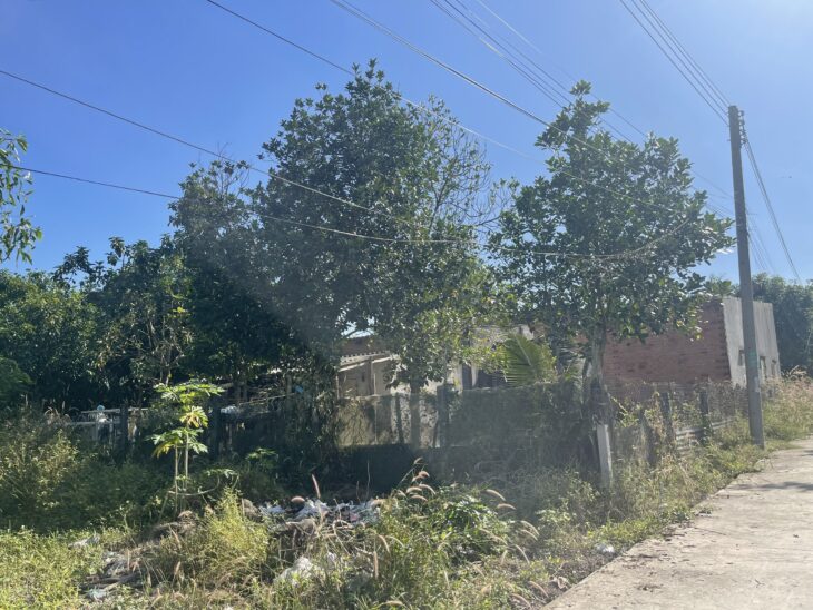 Đất LaGi 113m2 ONT Lô 2 Trưng Trắc – Tân An – TX LaGi chỉ 800 triệu sổ riêng