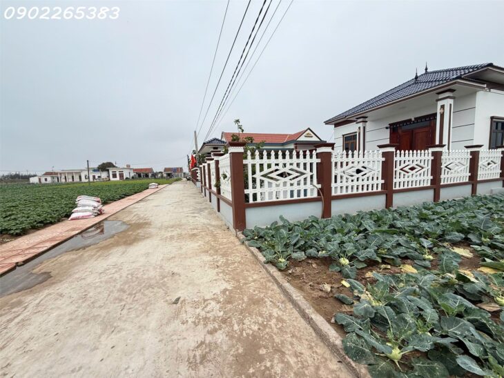 Chính chủ cần bán gấp đất nền 101m2 xã Giao phong giá rẻ siêu hời 800 triệuVNĐ