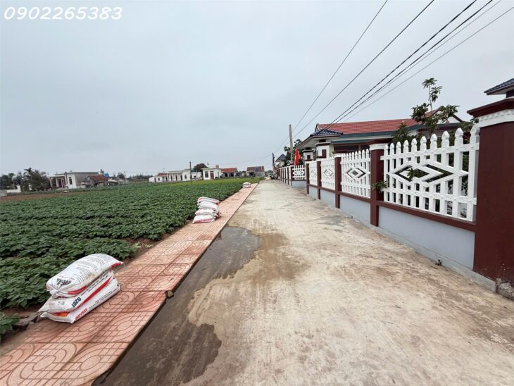 Chính chủ cần bán gấp đất nền 101m2 xã Giao phong giá rẻ siêu hời 800 triệuVNĐ