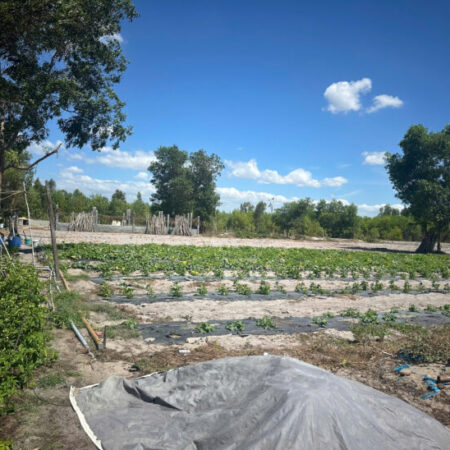 Đất ngộp lô 2 Nguyễn Trãi – TX LaGi 2000m2 chỉ 1.1 tỷ/ sào đường xe hơi