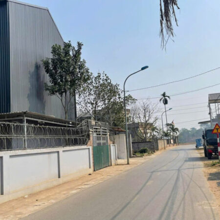 ???? BÁN ĐẤT LẠI THƯỢNG – KHỔ ĐẤT ĐẸP, ĐƯỜNG NHỰA Ô TÔ TRÁNH – GIÁ CHỈ 2,45 TỶ ????