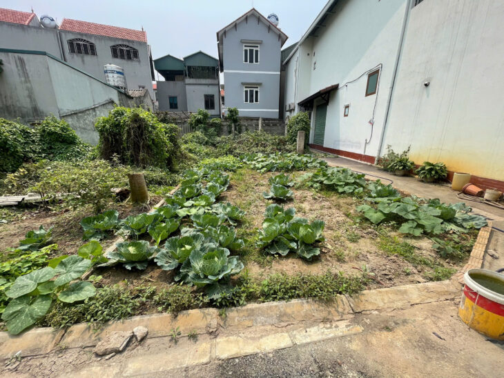 Cần bán 50 m2 tổ 4 Đồng Mai-Hà Đông, LH 0977790353