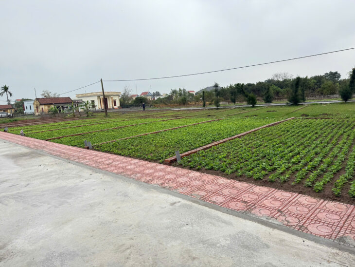 Bán đất trung tâm thị trấn quất lâm gần bãi tắm, quảng trường từ 1 tỷ