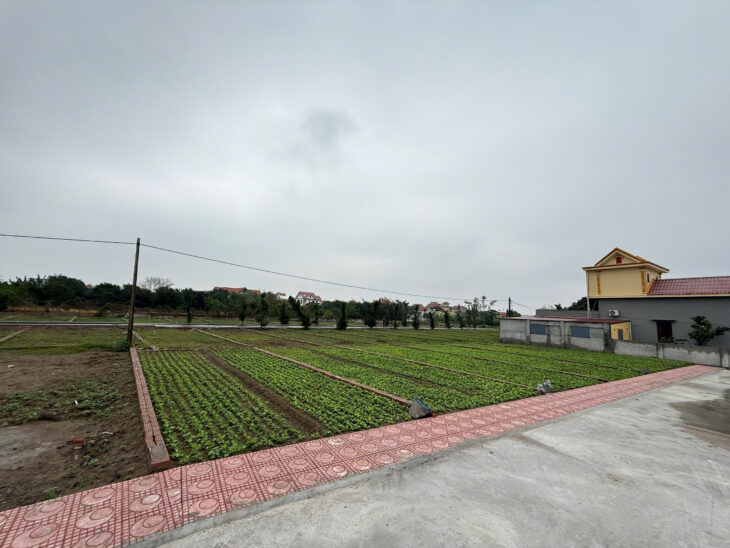 Bán đất trung tâm thị trấn quất lâm gần bãi tắm, quảng trường từ 1 tỷ