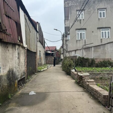 CẦN TIỀN BÁN GẤP LÔ ĐẤT 43,9M² – KHU PHỐ KIM THIỀU – GIÁ CHỈ 1,1 TỶ