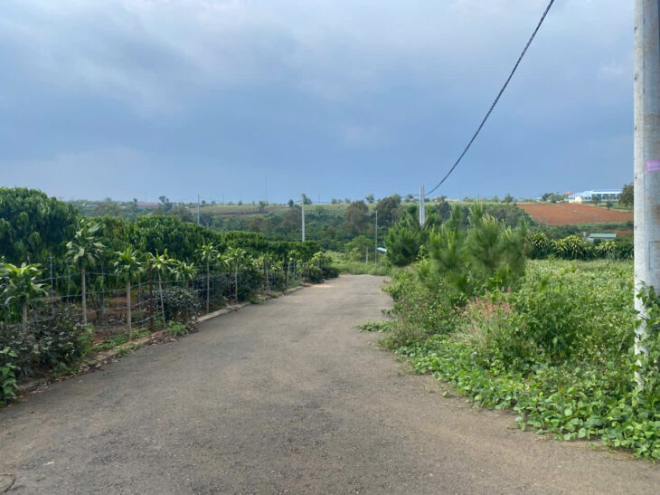 Bán đất xã Lộc An, huyện Bảo Lâm, Lâm Đồng – Hỗ trợ vay ngân hàng 100%