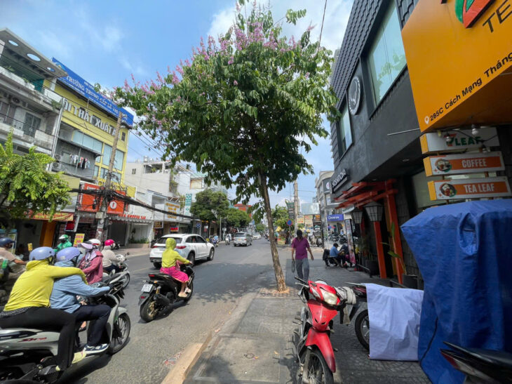 Quận 10 ! MB CHO THUÊ GIÁ RẺ 19,8 tr ! MT đường lớn khu kinh doanh sầm uất, Tel : 0939146839 –