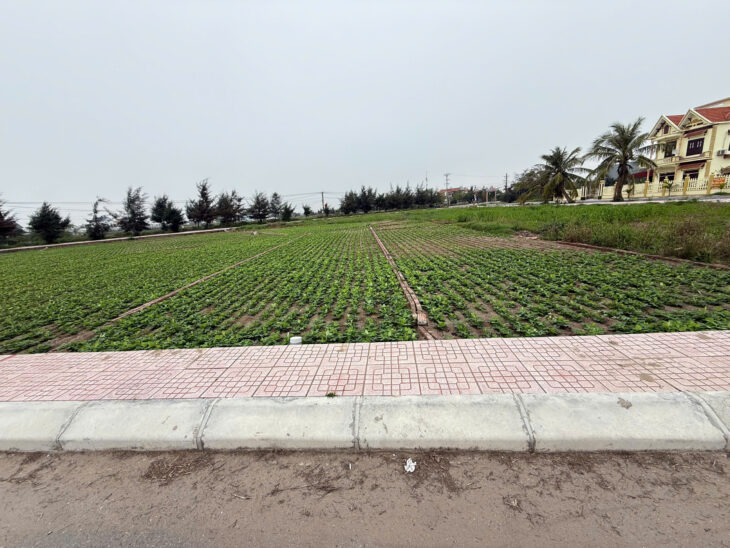Nhỉnh 2 tỷ em bán trục chính đường 10m giao phong quất lâm sát Flamingo