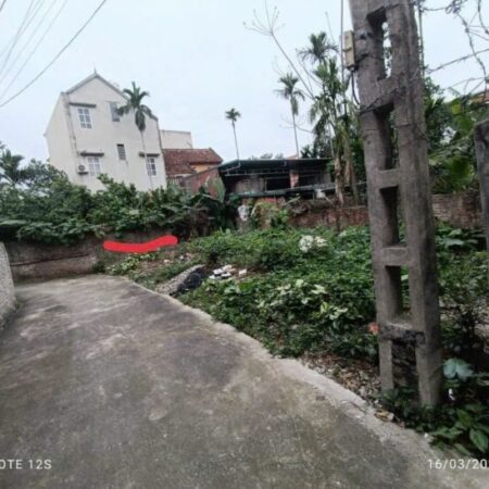 Thôn 1 vạn phúc thanh tri Hà Nội