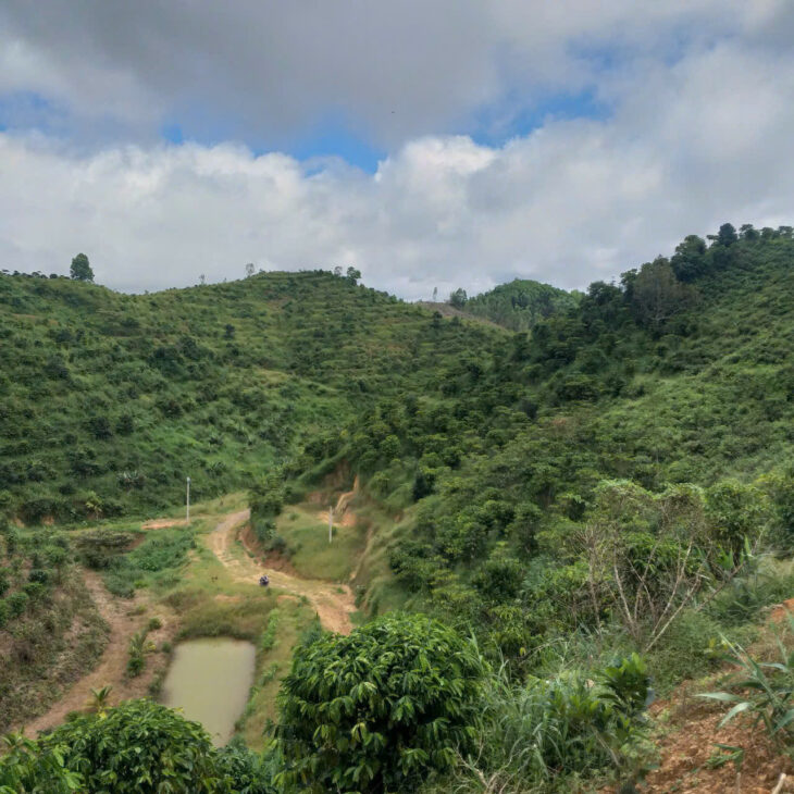CHÍNH CHỦ BÁN ĐẤT TRỒNG CHÈ – CÀ PHÊ VIEW ĐẸP TẠI ĐẠI LÀO – BẢO LỘC 🌿