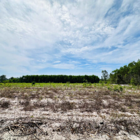 Bán 4000m2 đất mặt tiền 719B – Tân Bình – TX LaGi chỉ 66 triệu/m ngang Bán 4000m2 đất mặt tiền 719B – Tân Bình – TX LaGi chỉ 66 triệu/m ngang