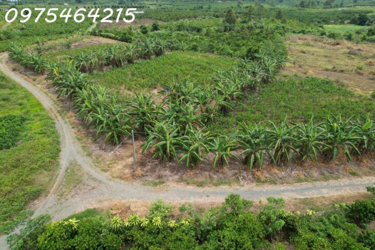 BÁN ĐẤT VIEW SÔNG – HẺM ĐƯỜNG ĐINH CÔNG TRÁNG, TP BẢO LỘC 📍 Xã Lộc Châu, TP Bảo Lộc, Tỉnh Lâm Đồng