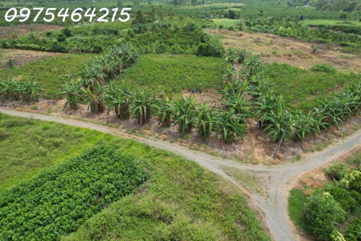 BÁN ĐẤT VIEW SÔNG – HẺM ĐƯỜNG ĐINH CÔNG TRÁNG, TP BẢO LỘC 📍 Xã Lộc Châu, TP Bảo Lộc, Tỉnh Lâm Đồng