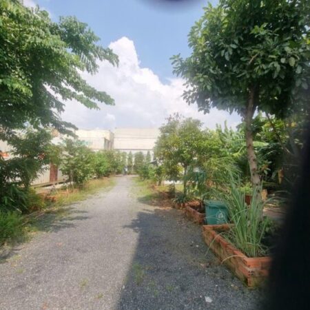 BÁN ĐẤT MẶT TIỀN NGUYỄN THỊ TƯ – PHÚ HỮU, TP. THỦ ĐỨC 8000m2 BÁN ĐẤT MẶT TIỀN NGUYỄN THỊ TƯ – PHÚ HỮU, TP. THỦ ĐỨC 8000m2