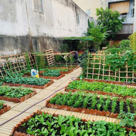 BÁN ĐẤT TẶNG VƯỜN RAU SẠCH NGAY VÀNH ĐAI 2 – LINH ĐÔNG – THÀNH PHỐ THỦ ĐỨC