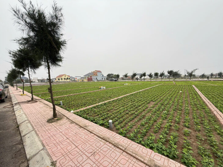 Bán đất thị trấn quất lâm gần quảng trường 90m2 chỉ nhỉnh 1 tỷ