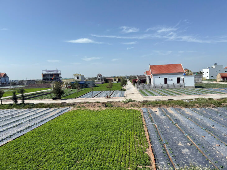 Bán 85m2 sát biển giao phong quất lâm ngay cạnh Flamingo chỉ 1.x tỷ