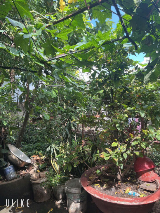 Bán nhà MẶT TIỀN Nguyễn Thị Minh Khai ngang 10m,giá rẻ như trong hẻm