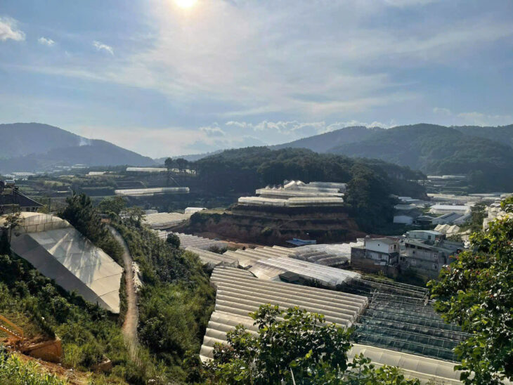 Bán gấp lô đất Khu Quy Hoạch An Sơn, Đà Lạt – Chính chủ cần tiền đầu tư