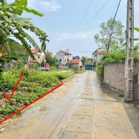 Bán đất Thanh Lâm, Mê Linh. Đường thông, oto tránh, gần chợ hoa quả Mê Linh