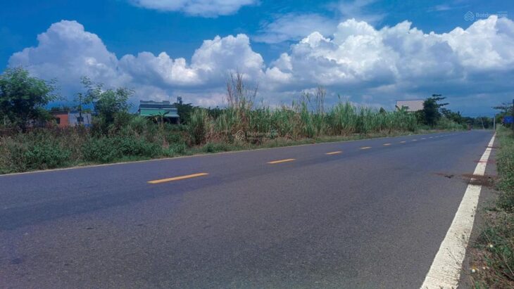 Đất nền Long Tân, Đất Đỏ, Bà Rịa-Vũng Tàu giá cực rẻ – gần biển, sân bay – tiềm năng tăng giá mạnh