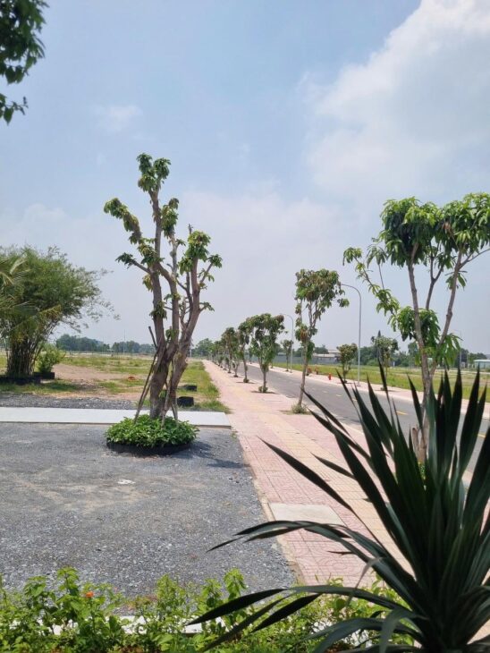 ???? ĐẤT NỀN TRUNG TÂM ĐỨC HOÀ – GIÁ TỐT NHẤT KHU VỰC