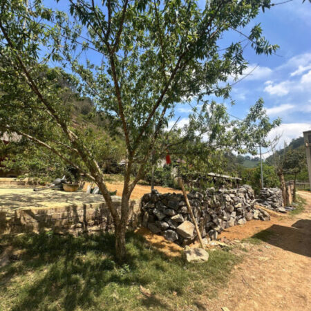 Bán 1032m2 Đất View Đẹp Mộc Châu Gần Trung Tâm, Ô Tô Tận Nơi, Giá chỉ 1ty6