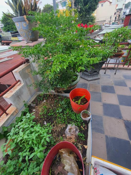 MẶT TIỀN KINH DOANH Đ. SỐ 8. VỊ TRÍ VÍP. HIẾM. LINH TRUNG. 69.6M. GIÁ 9.7 TỶ. THƯƠNG LƯỢNG.