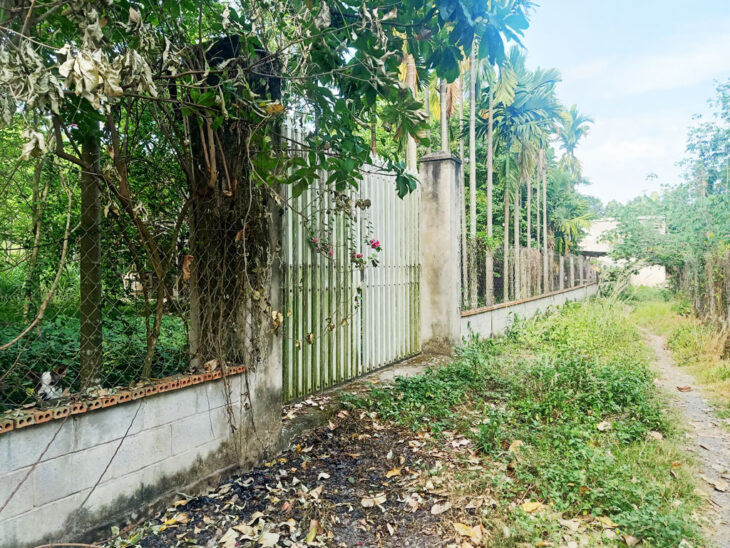 Bán nhà vườn 1/ đường 437 – 1653m2 – 30×59 – 300m2 thổ cư – xã Phú Hòa Đông – Củ Chi