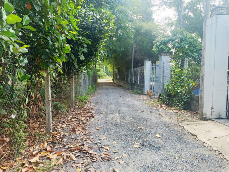 Bán nhà vườn 1/ đường 437 – 1653m2 – 30×59 – 300m2 thổ cư – xã Phú Hòa Đông – Củ Chi