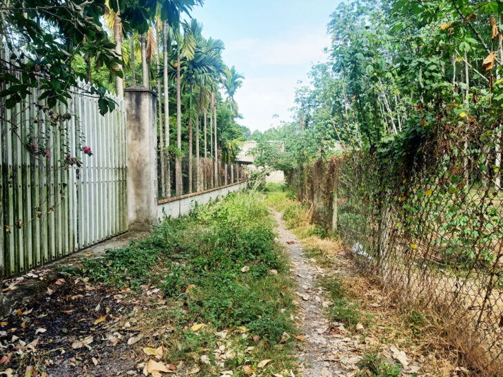 Bán nhà vườn 1/ đường 437 – 1653m2 – 30×59 – 300m2 thổ cư – xã Phú Hòa Đông – Củ Chi