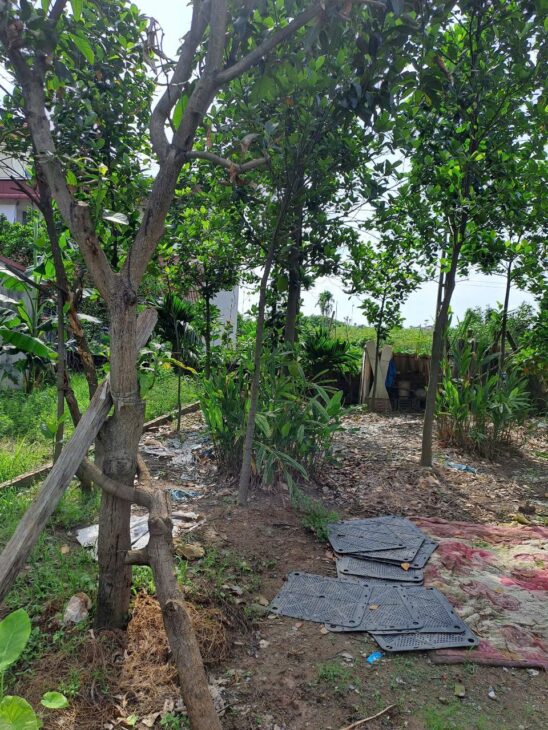Đất thổ cư 52m ở Vân Canh – 30m ra đường ô tô, vuông vắn, giáp vành đai 3.5 – giá 113 tr/m