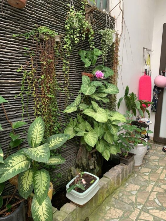 GẤP BÁN! Nhà mới full nội thất, dt 60m2, ngang 7.5m, 2 tầng ở ngay, chỉ 3.68 tỷ
