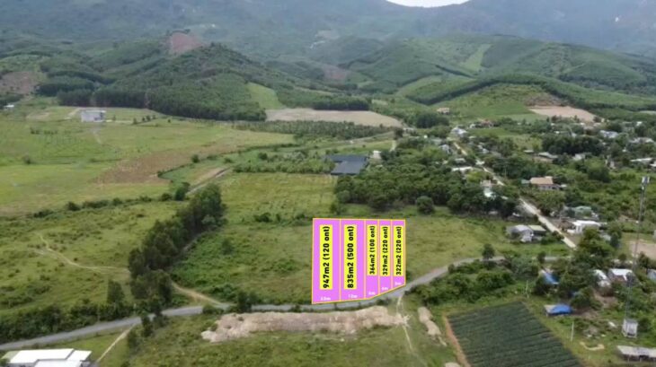 Bán gấp 3 lô đất thổ cư xã Ninh Tân, thị xã Ninh Hoà, Khánh Hoà Bán gấp 3 lô đất thổ cư xã Ninh Tân, thị xã Ninh Hoà, Khánh Hoà