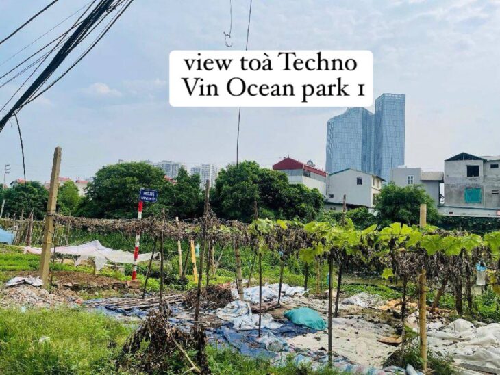 Bán đất Đa Tốn Gia Lâm – diện tích rộng xây nhà vườn, đối diện Vin Ocean park 1