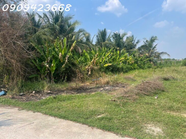 Chỉ từ 700 triệu – Sở hữu ngay đất nền đẹp tại Đức Hòa, Long An, gần đại đô thị Vinhomes 197ha!