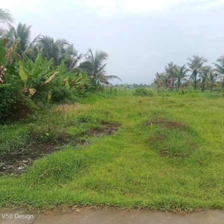 KẸT TIỀN BÁN GẤP LÔ ĐẤT ĐẸP 355M² FULL THỔ – ĐỨC LẬP THƯỢNG, ĐỨC HÒA, LONG AN KẸT TIỀN BÁN GẤP LÔ ĐẤT ĐẸP 355M² FULL THỔ – ĐỨC LẬP THƯỢNG, ĐỨC HÒA, LONG AN