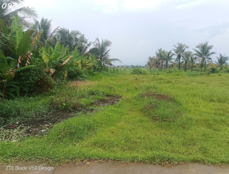 Chỉ từ 700 triệu – Sở hữu ngay đất nền đẹp tại Đức Hòa, Long An, gần đại đô thị Vinhomes 197ha!