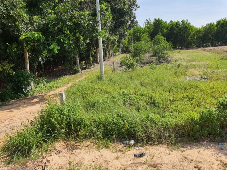 Bán 22.5m x 50m đất 2 mặt tiền Lê Quang Định, thị xã LaGi gần Biển giá đầu tư