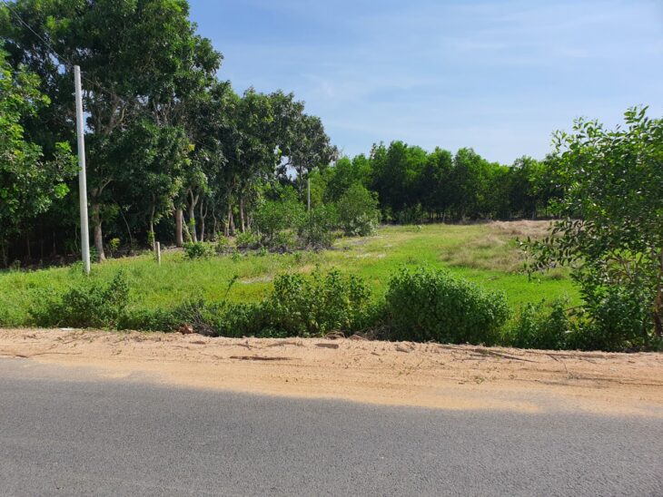 Bán 22.5m x 50m đất 2 mặt tiền Lê Quang Định, thị xã LaGi gần Biển giá đầu tư