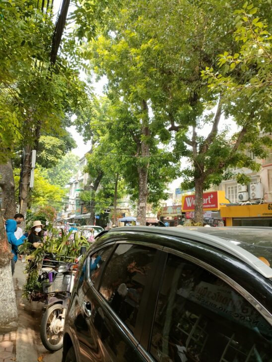 Cho thuê gấp giá rẻ Trương Định 100m, 1 sàn, mặt tiền 5m, 12 tr/th Hoàng Mai.