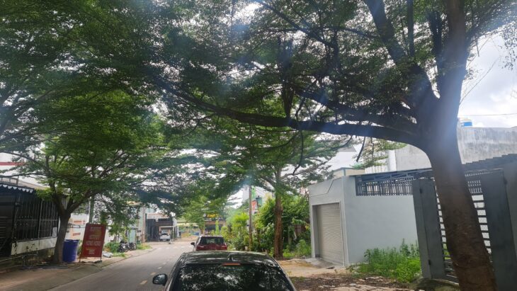 Bán đất mặt tiền Đăng Văn Ngữ, Tân An, thị xã LaGi giá rẻ nhất