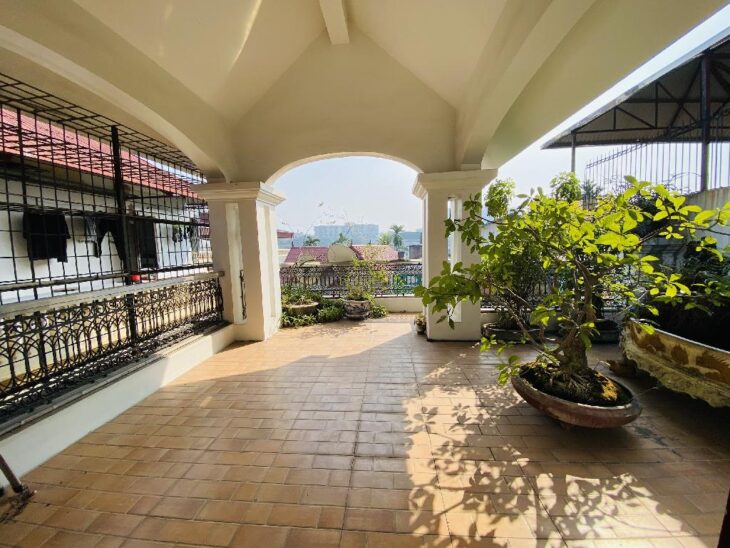 192 Lê Trọng Tấn, biệt thự nhà vườn, tác phẩm nghệ thuật sồng