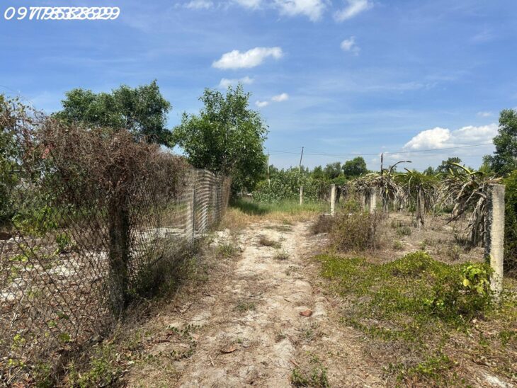 Bán 519m2 đất thổ cư Tân Tiến, thị xã LaGi gần Biển giá đầu tư