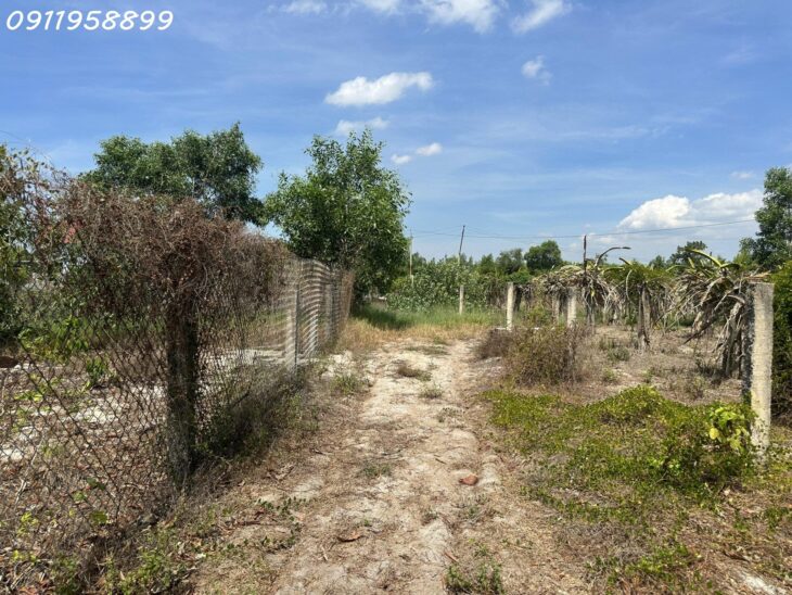 Bán 519m2 đất thổ cư Tân Tiến, thị xã LaGi gần Biển giá đầu tư