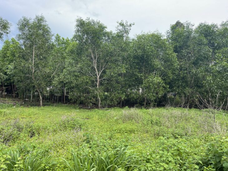 Chỉ 750 triệu đất full thổ cư Hẻm Nguyễn Chí Thanh, Tân Bình, LaGi sổ riêng