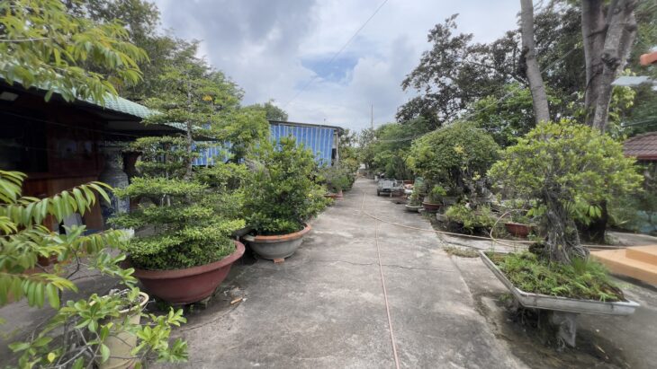 Bán 2537m2 đất thổ cư Lý Thường Kiệt, thị xã LaGi giá ngộp 3.35tr/m2 Bán 2537m2 đất thổ cư Lý Thường Kiệt, thị xã LaGi giá ngộp 3.35tr/m2