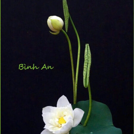 Bán gấp giá rẻ Mai Hương 20m, 4 tầng, mặt tiền 3m, 3 tỷ Hai Bà Trưng. Bán gấp giá rẻ Mai Hương 20m, 4 tầng, mặt tiền 3m, 3 tỷ Hai Bà Trưng.
